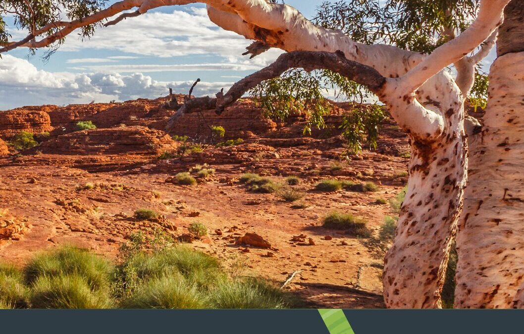 [mhwb22B1] WellbeingfortheBush_DigitalSpreads1225