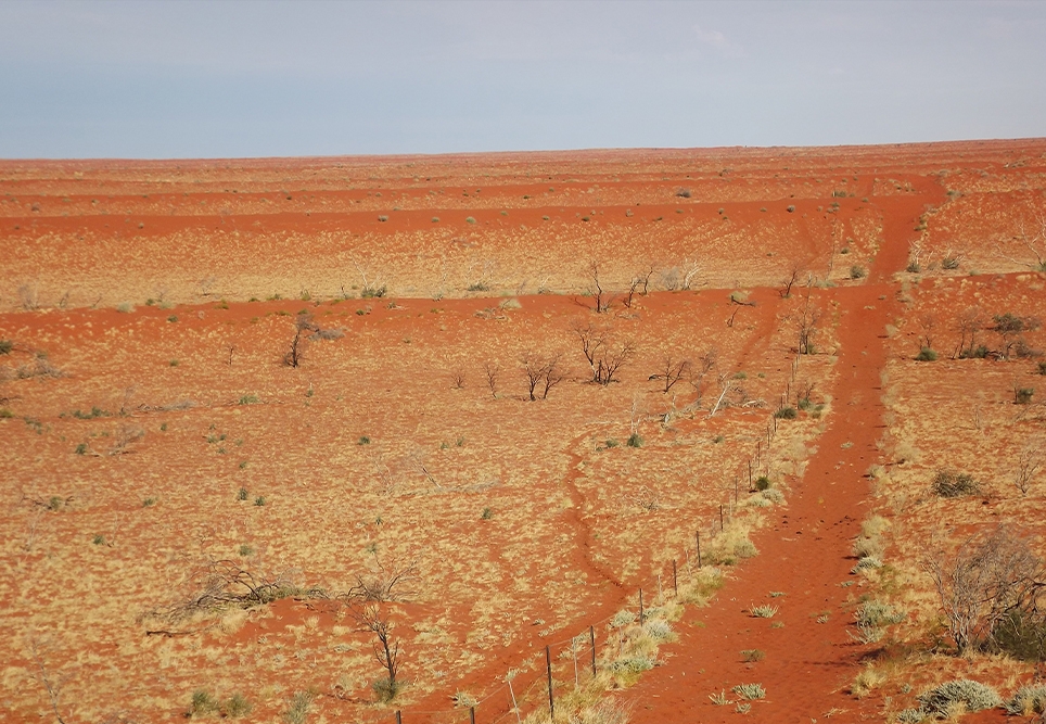 Photo credit: Larissa Lauder