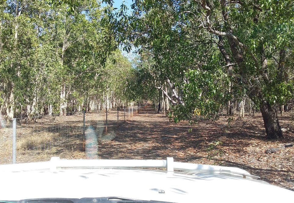 Photo credit: Larissa Lauder