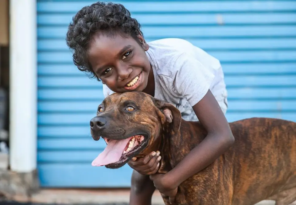 Staying safe around camp dogs, with AMRRIC