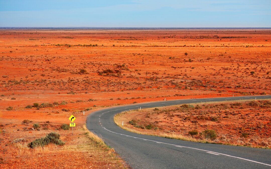 2021 Membership Survey results: listening to your voice