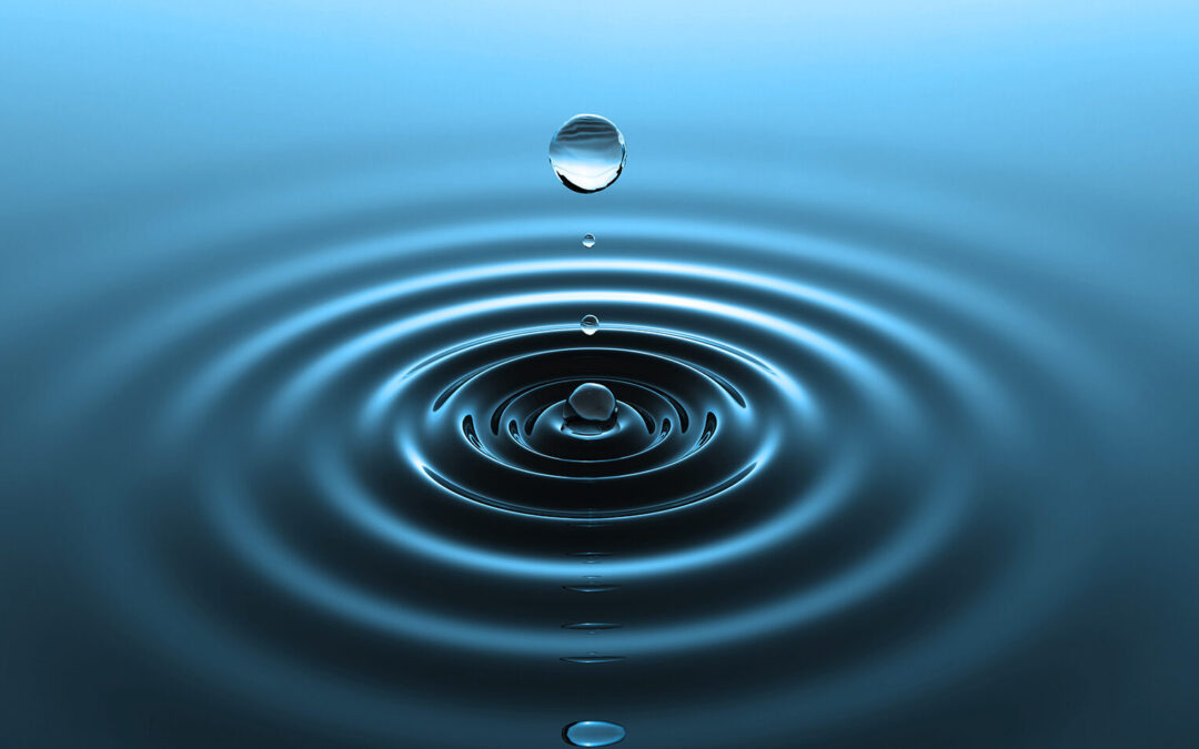 Mindful Monday: Time to reset