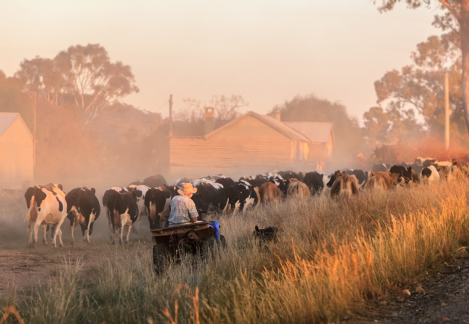 Camron - stock.adobe.com.