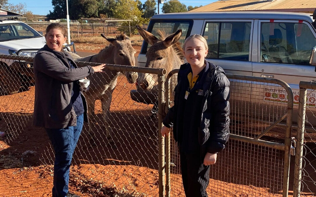 Occupational therapy in the Red Centre