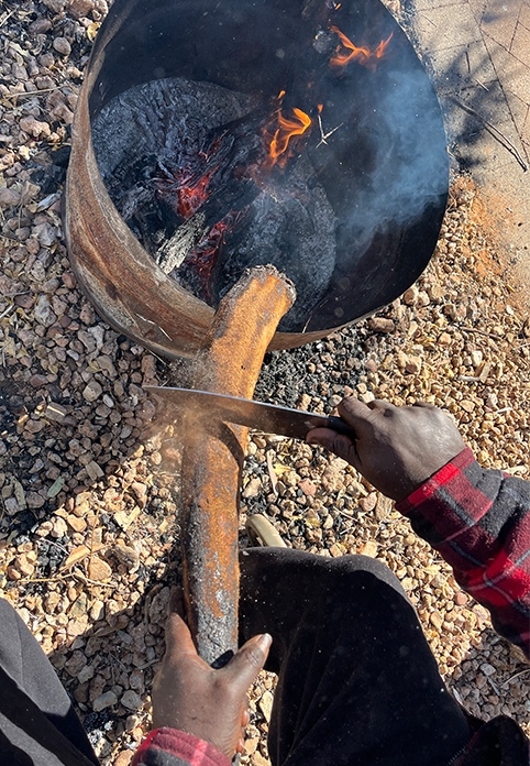 Preparing kangaroo tail, Mparntwe, Arrernte Country.
