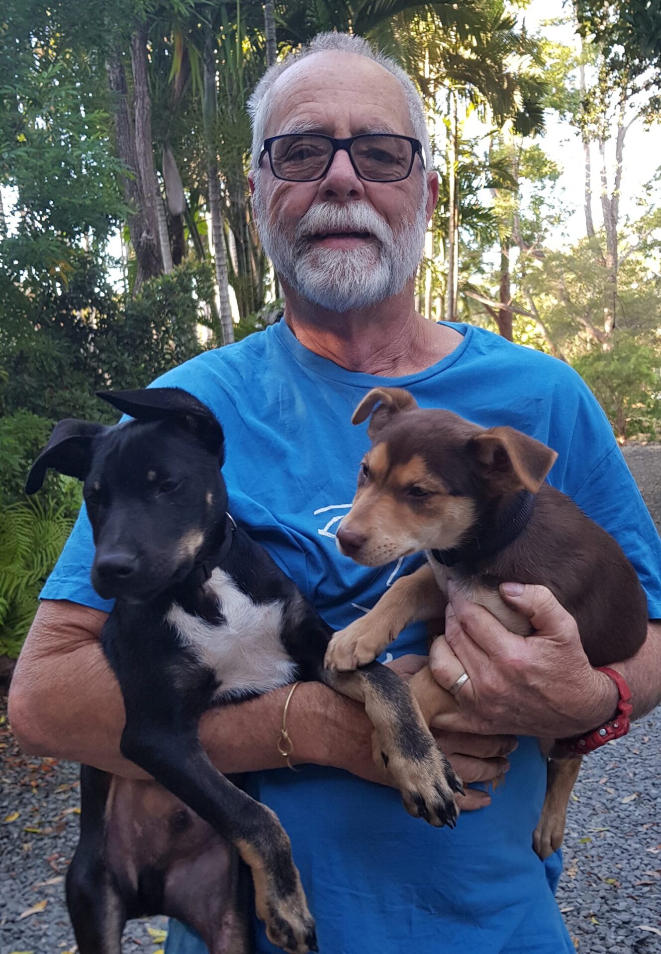 Ray with Bugz and Chili.