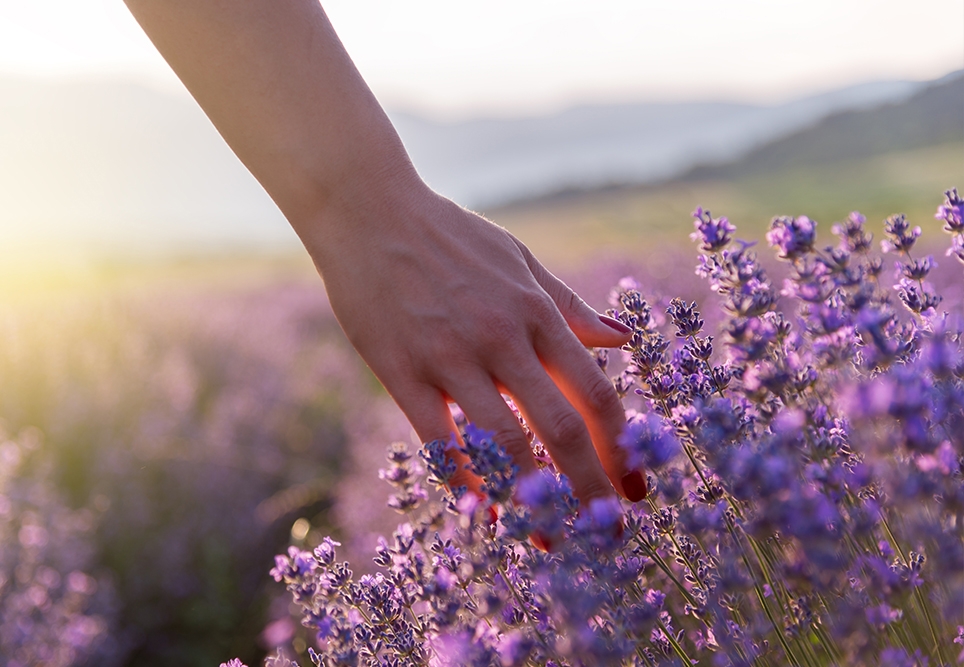 Mindfulness on the go for remote health professionals