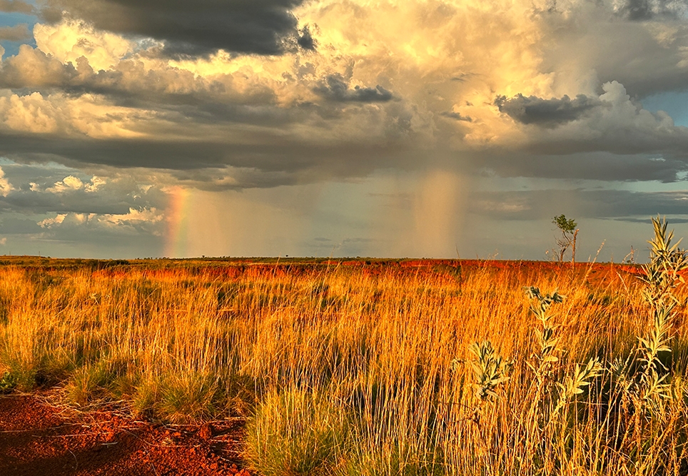 “There are rainbows everywhere in life  if we go out and look.”