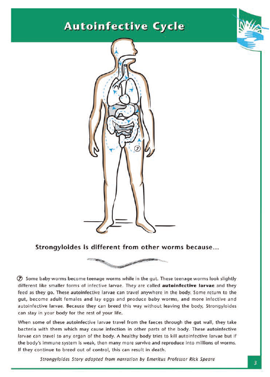 This page is taken from the Strongyloides Flipchart developed by Top End Division of General Practice, Miwatj Health, and Aboriginal Resource & Development Services Inc. The full resource can be found at www.strongyaust.au