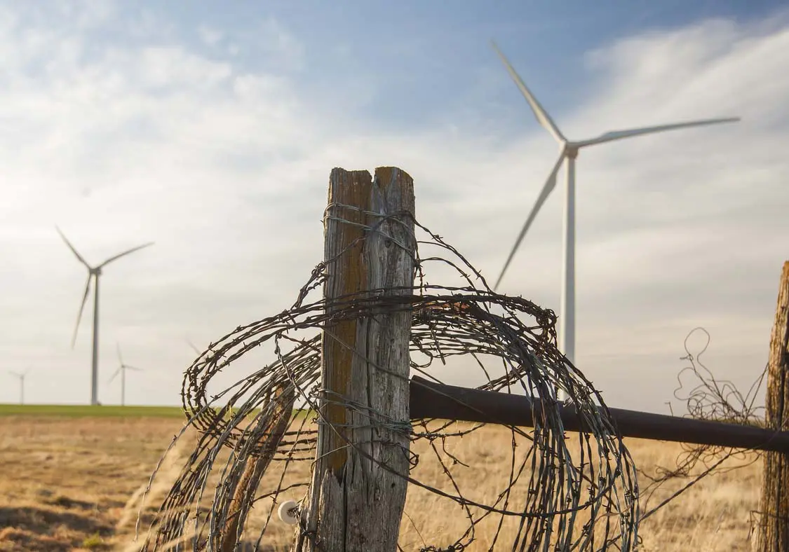 Photo credit: Cavan Social – stock.adobe.com