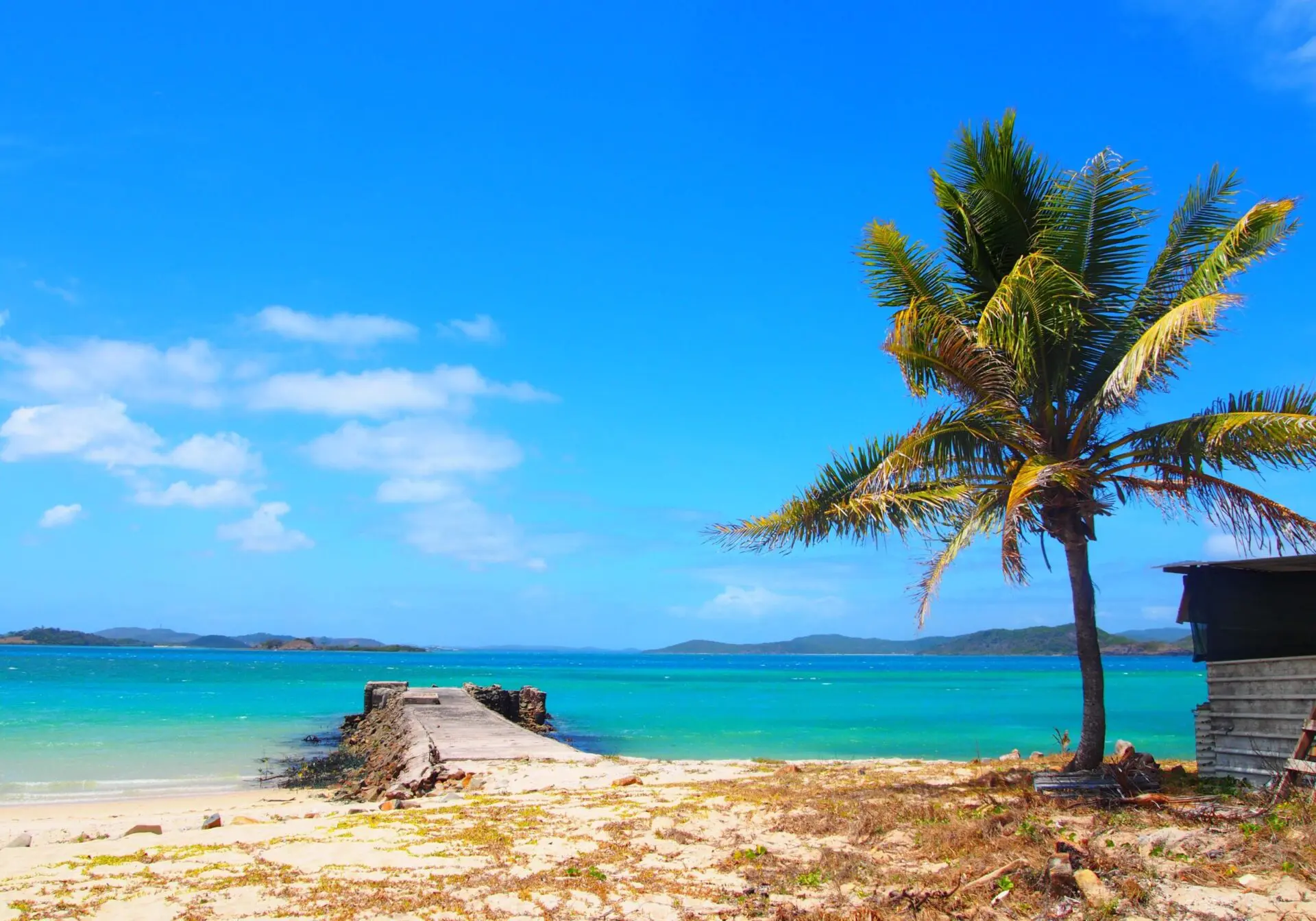 Photo credit: Nancy Weatherford