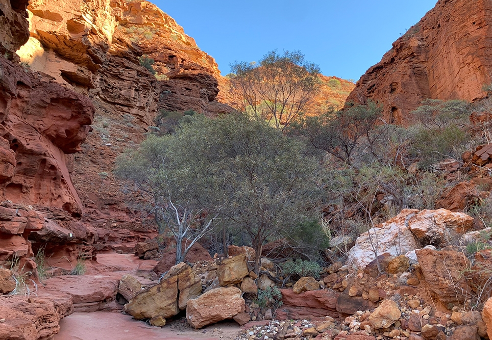 Student story: Consolidating skills in ED