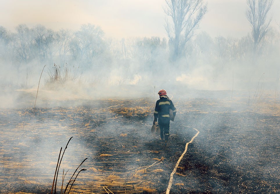 Serhii - stock.adobe.com.