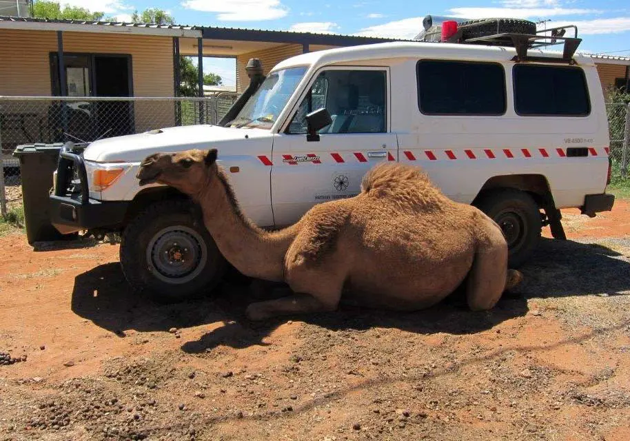 Why we stay and why we leave