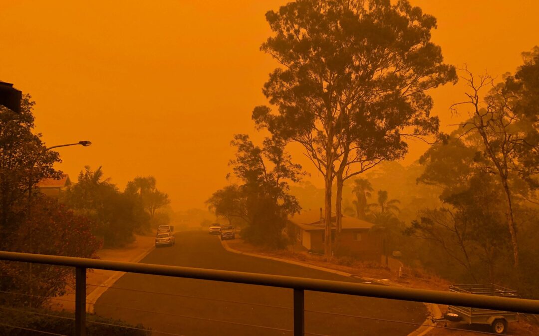 Working through the bushfires: a psychologist’s experiences
