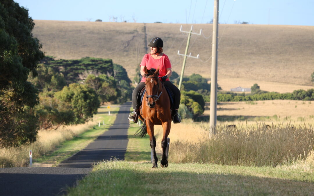Having a whale of a time in the Great South West