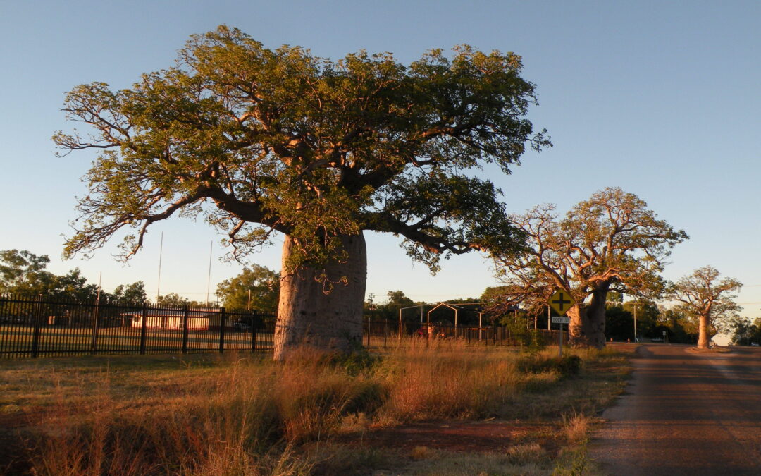 Our new Acknowledgment of Country