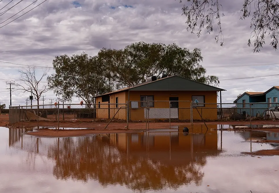 Japanese Encephalitis Virus’ Australian arrival