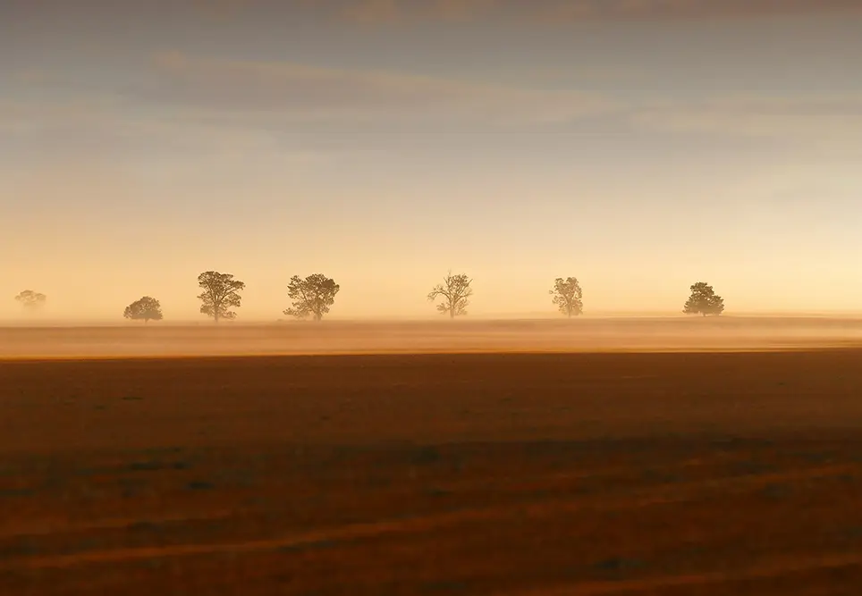 CRANAcast taster: Episode 15 with Di Thornton