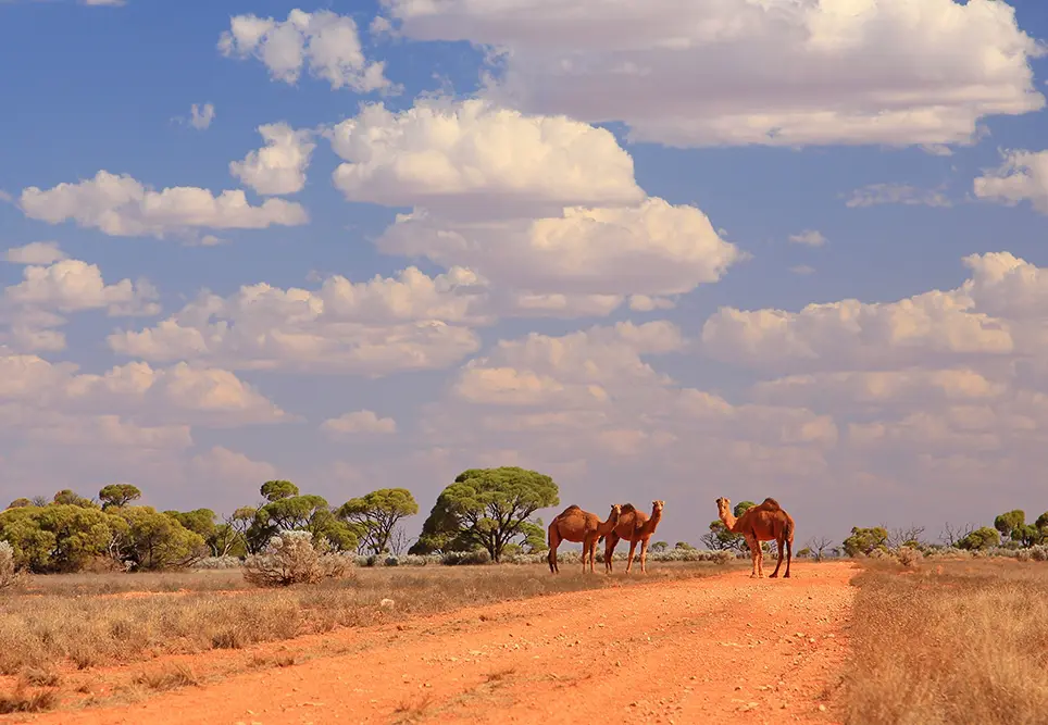 New course supports health workers experiencing trauma