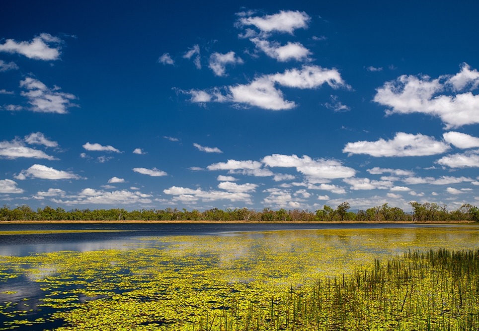 “Nature itself had unburdened us”