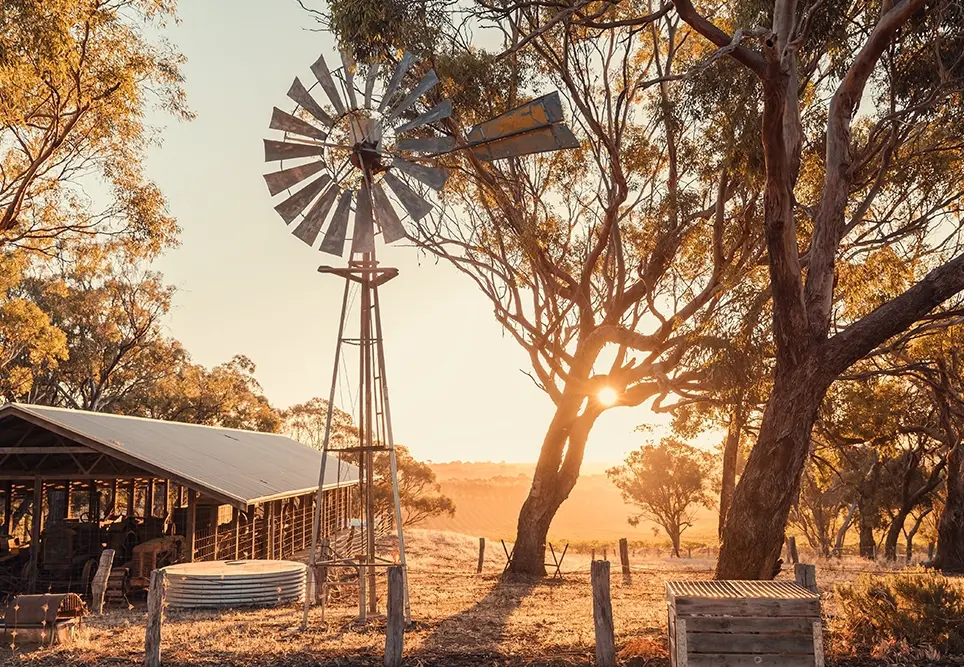 Looking back on a unique opportunity