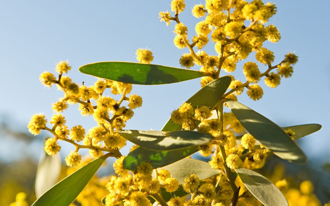 Opening the conversation on sexual health