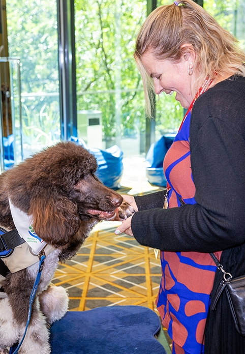 Well­be­ing and ther­a­py dog Milo  filling the Well­be­ing Lounge with smiles and calm.