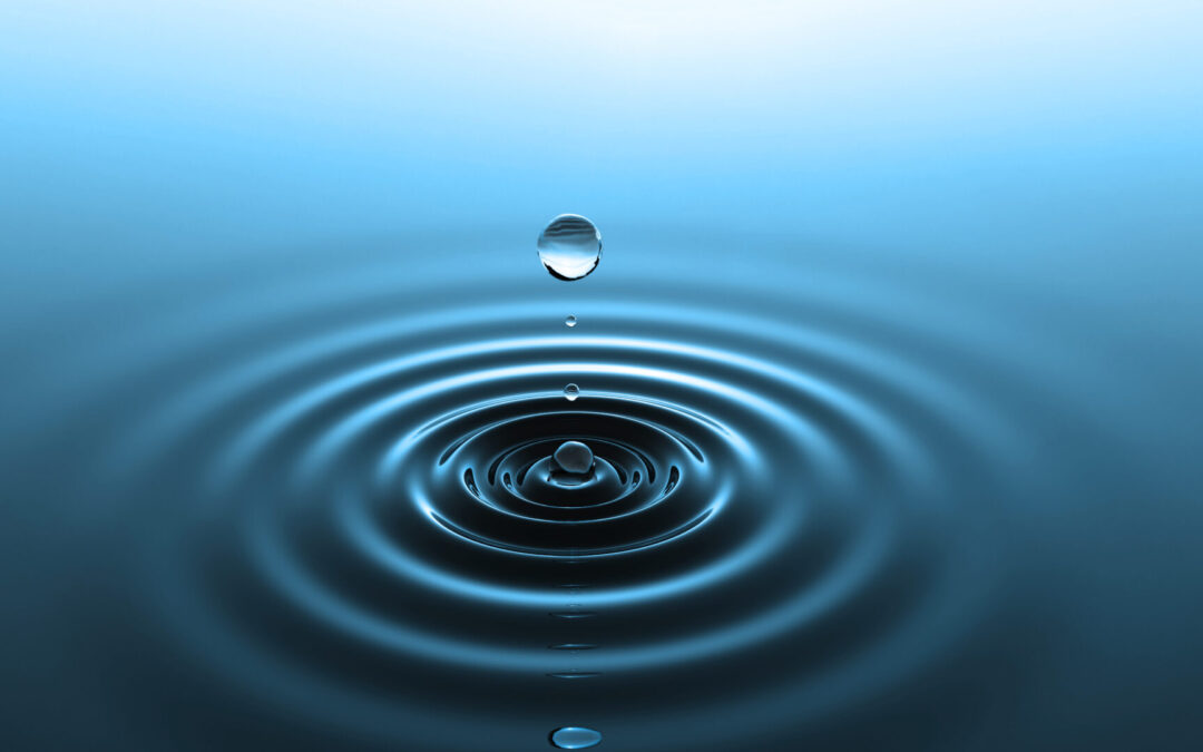 Mindful Monday: Rethinking traditions in a remote setting