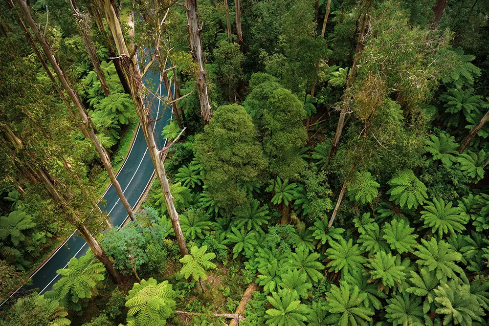 Staying connected – a new wellbeing resource