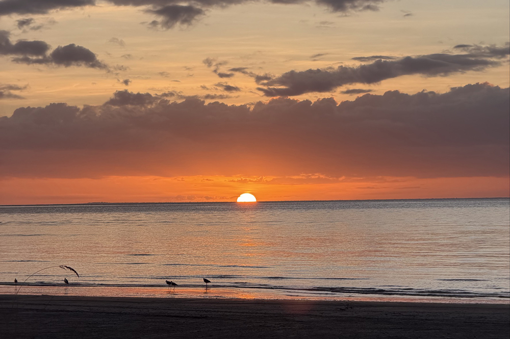 Rural and Remote Connect: Strengthening care where Queenslandneeds it most
