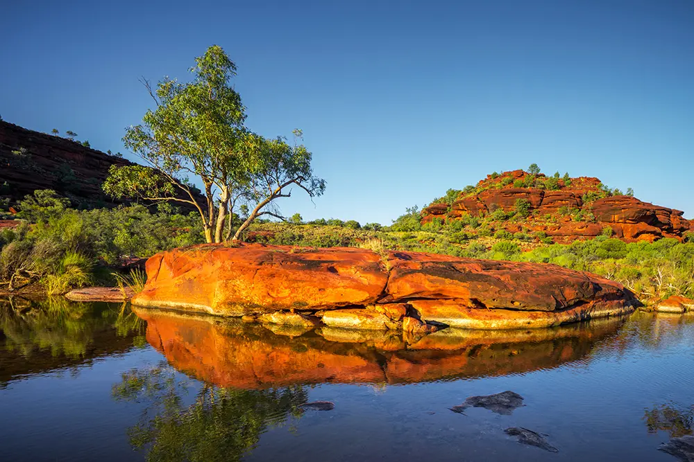 CRANAplus’ First Peoples Advisory Committee has begun its work